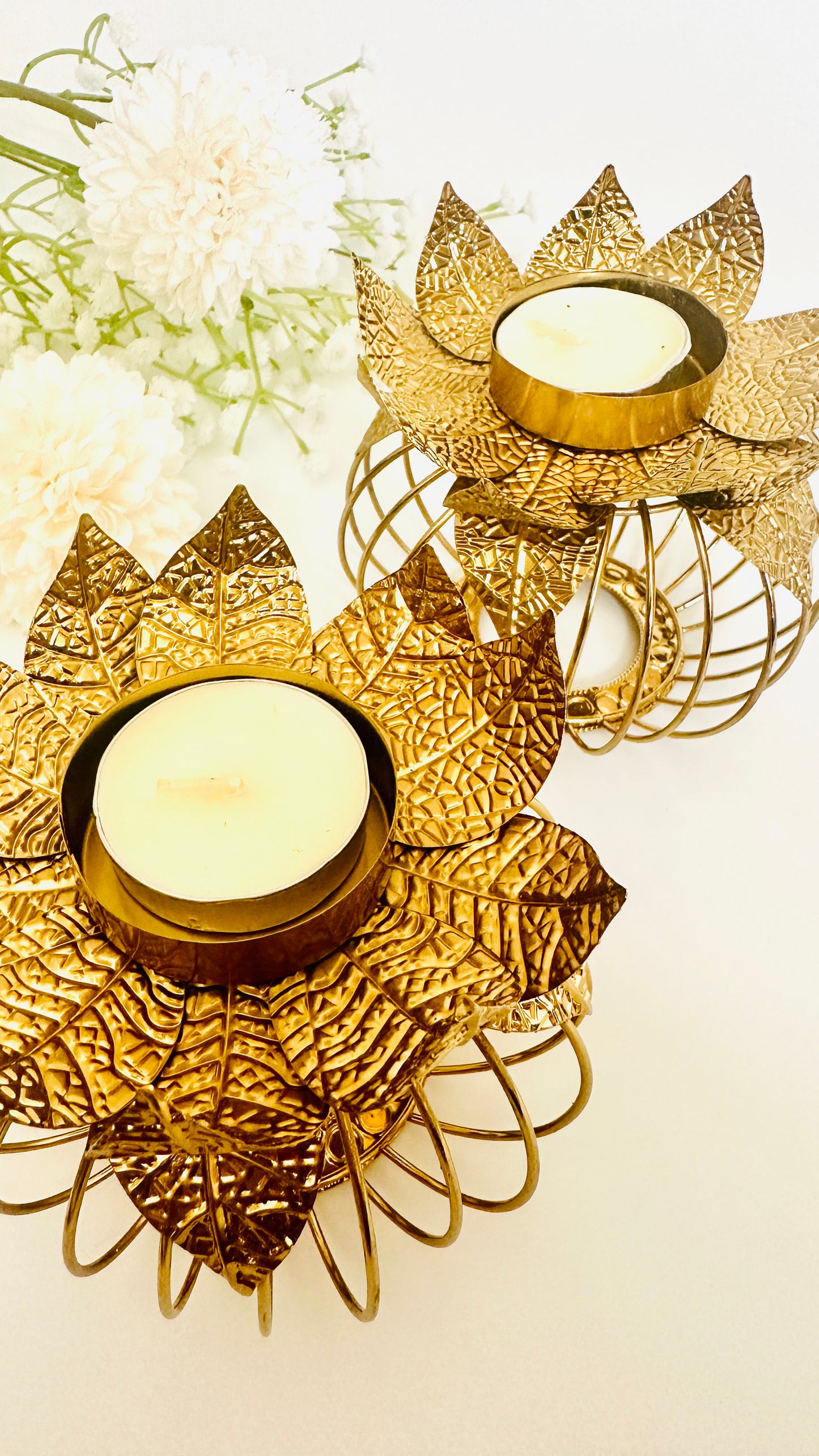 Exclusive Diyas