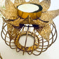 Exclusive Diyas