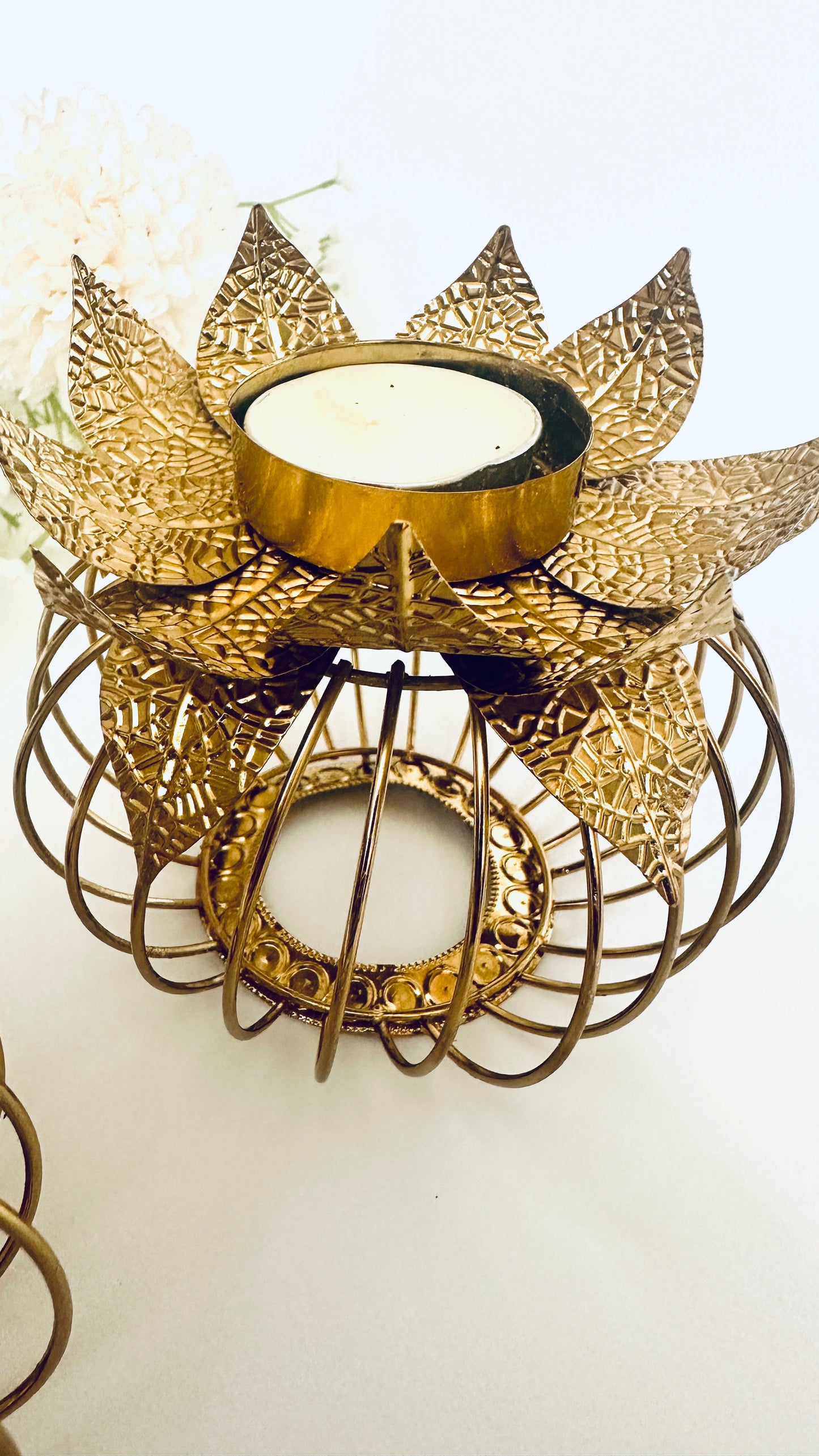 Exclusive Diyas